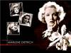 Thumbnail Marlene Dietrich desktop Wallpaper