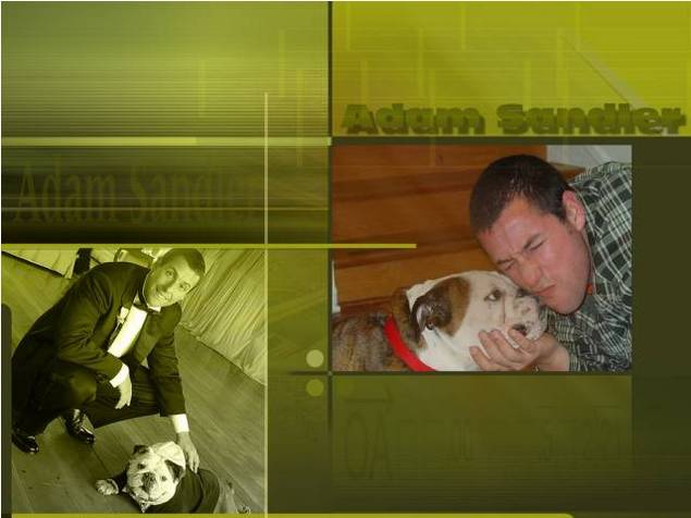 Product picture Adam Sandler computer wallpaper