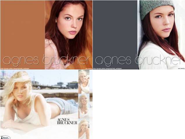 Product picture Agnes Bruckner desktop Wallpaper