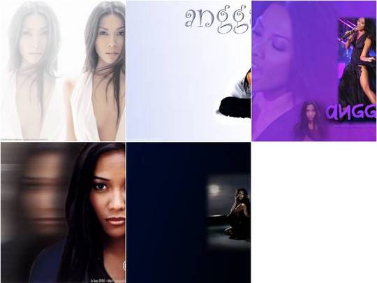 Product picture Anggun wallpaper