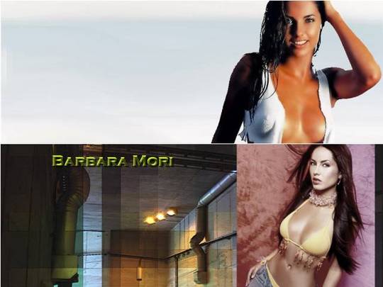 Product picture Barbara Mori computer wallpaper