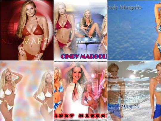 Product picture Cindy Margolis wallpaper