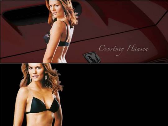 Product picture Courtney Hansen computer wallpaper