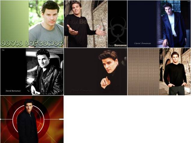 Product picture David Boreanaz wallpaper
