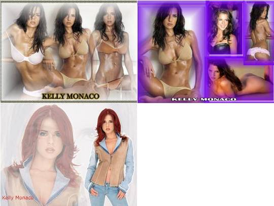 Product picture Kelly Monaco wallpaper download