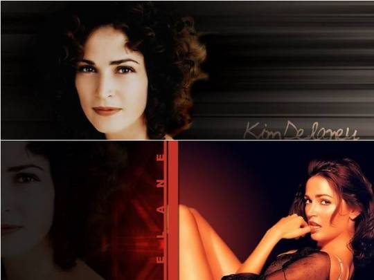 Product picture Kim Delaney desktop Wallpaper