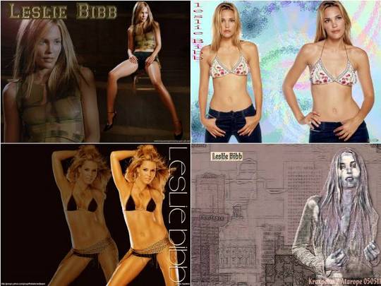 Product picture Leslie Bibb wallpaper
