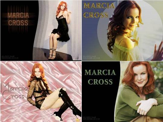 Product picture Marcia Cross wallpaper