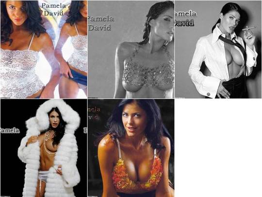 Product picture Pamela David desktop Wallpaper