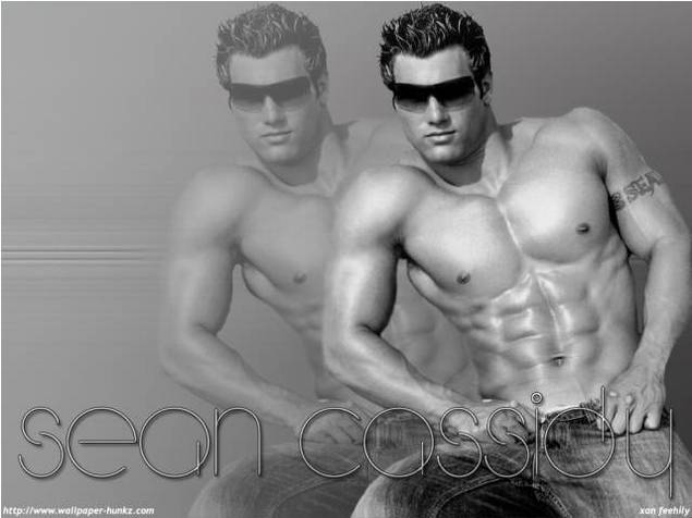 Product picture Sean Cassidy wallpaper