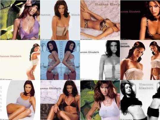Product picture Shannon Elizabeth Wallpapers