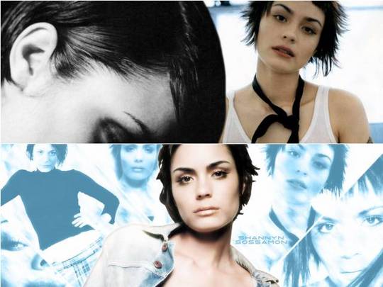 Product picture Shannyn Sossamon wallpaper download