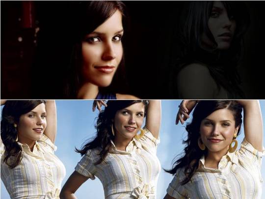 Product picture Sophia Bush Wallpapers
