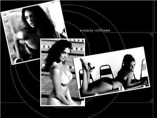 Product picture Stacey Williams computer wallpaper