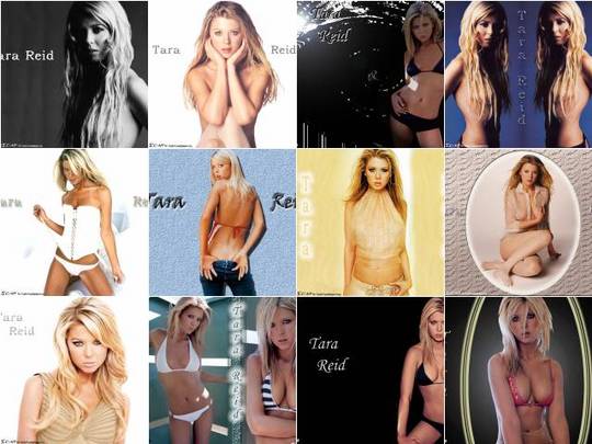 Product picture Tara Reid computer wallpaper