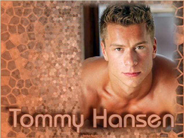 Product picture Tommy Hansen Wallpapers