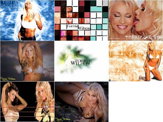 Product picture Torrie Wilson free Wallpaper